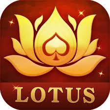 Teen Patti Lotus – Join Rummy 365 Now20+ Game Variants & Big Jackpots